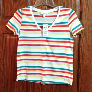 Style & Co V Neck Tee, Petite Small